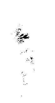 _images/test17_flooded.png
